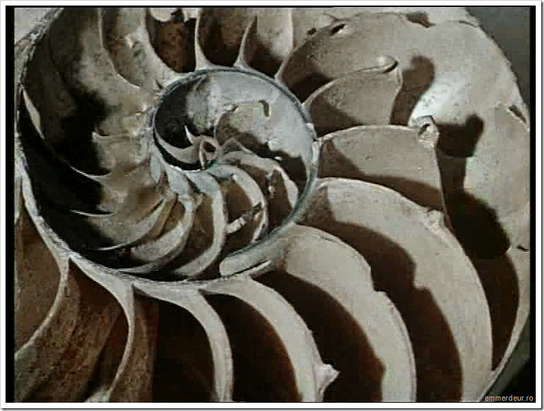 jan svankmajer historia naturae emmerdeur_36 jan svankmajer historia naturae emmerdeur_36