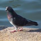 DSCF1399