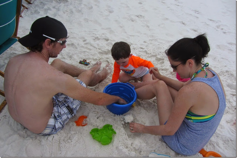 IMG_3690 IMG_3690