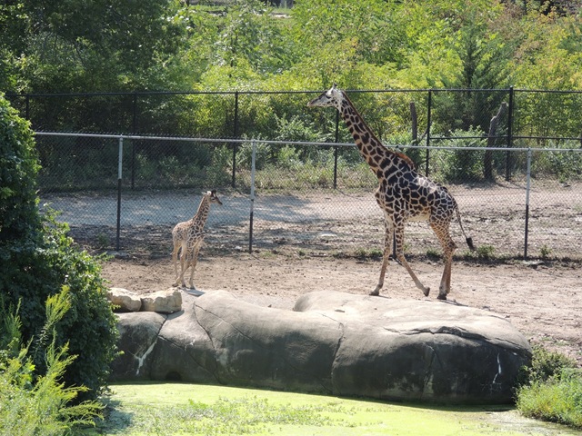 [DSCN0138%255B3%255D.jpg]