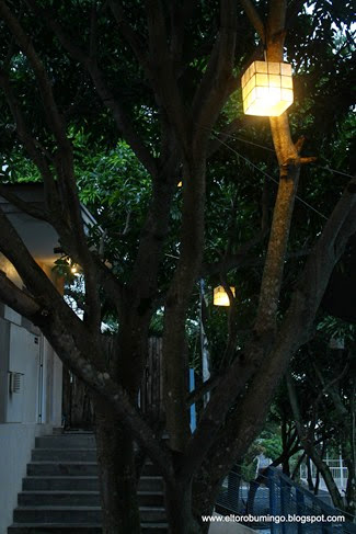 IMG_3423 IMG_3423