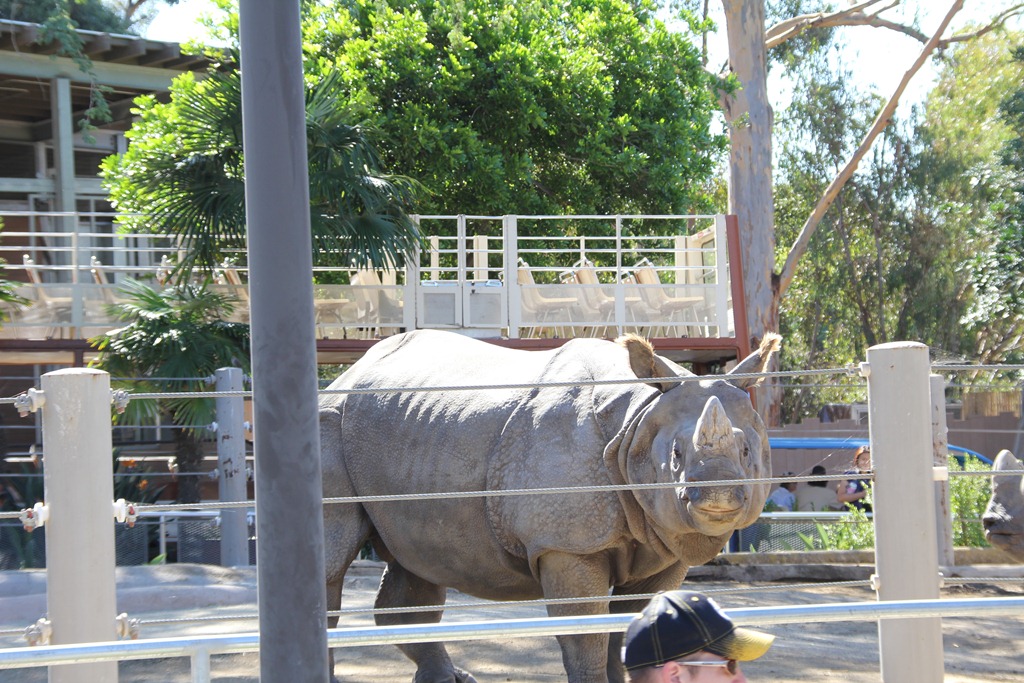 [IMG_3525%255B4%255D.jpg]