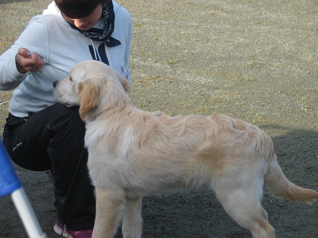 [IMG_5271%255B2%255D.jpg]