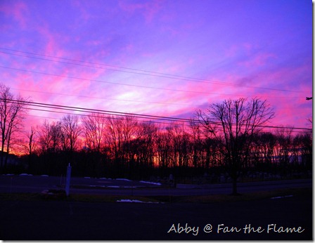 Gossamer Sunset, & Life! 024 Gossamer Sunset, & Life! 024