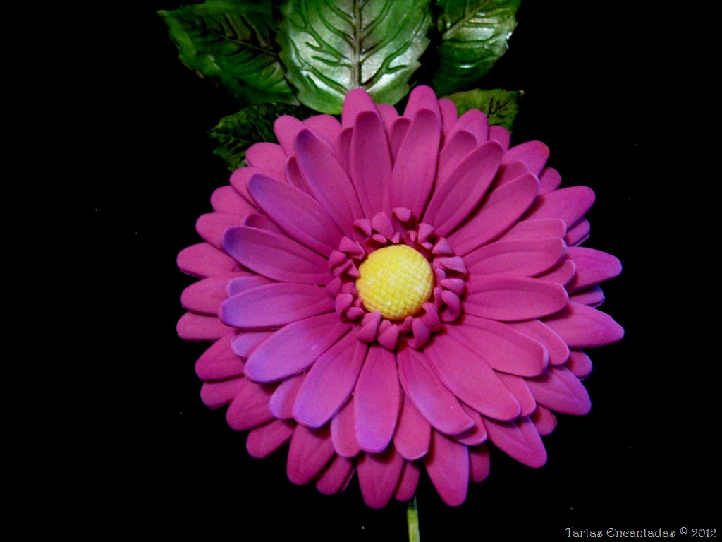 [gerbera%2520%25281%2529%255B3%255D.jpg]