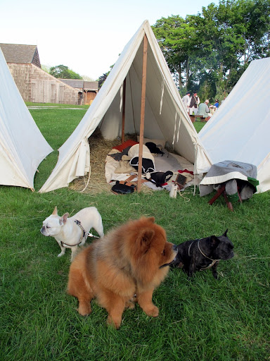 These simple two pole tents are called wedge tents and were designed to be easily set up and dismantled for traveling soldiers!