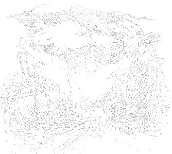 Floke Sending Out Three Ravens, Asatru Gods And Heroes