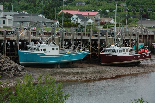 [DSC_0236%255B3%255D.jpg]