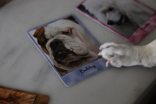 Franny, I can only find this one that says 'Bulldog.'  This guy may be creative, but he doesn't look anything like us!