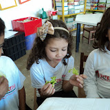 DSC03454.JPG