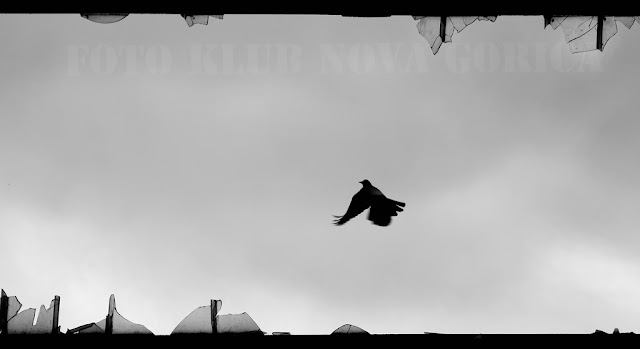 Ob meji-brez meje_2N_damijan_sedevcic_A3_v svobodo.jpg