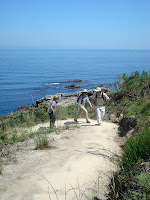 Coastal path