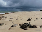 Shela Beach
