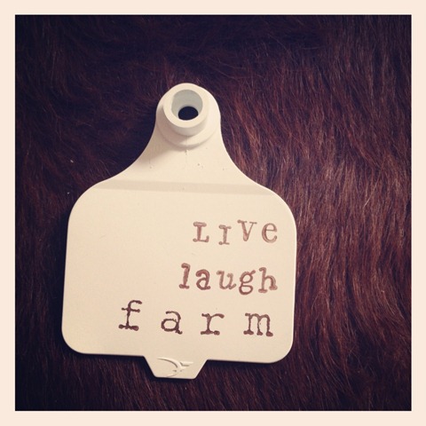 [live%2520laugh%2520farm%255B4%255D.jpg]