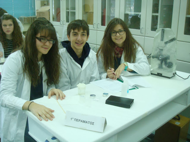 DSC00458.JPG