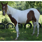 Léto 2010