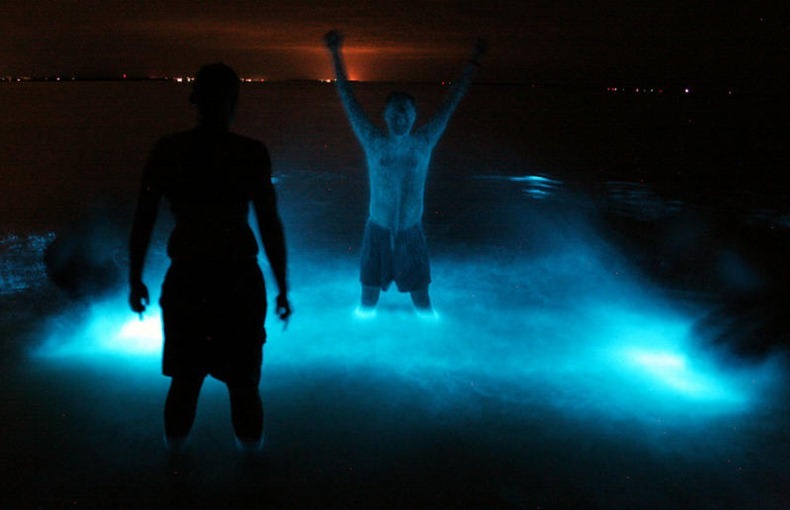 Hồ Gippsland (Úc) với làn nước phát ánh sáng xanh kỳ ảo Bioluminescence1%25255B3%25255D
