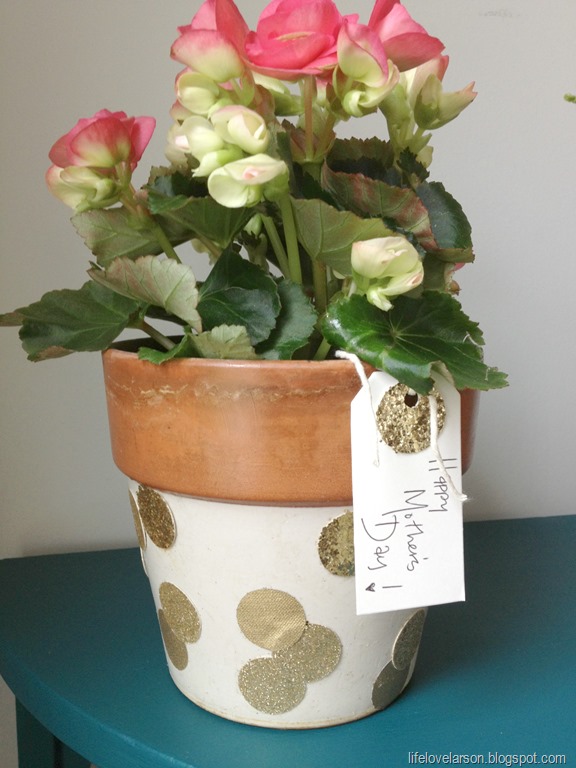 [polka-dot-pot-34.jpg]