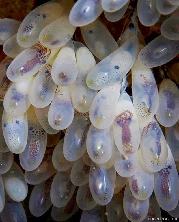 [fotos%2520de%2520momentos%2520raros14%255B3%255D.jpg]