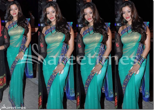 Green_Netted_Saree