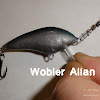allan1.jpg