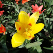 DSC00256.JPG