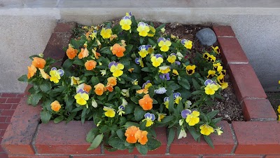 2014-05-31 16.11.24.jpg
