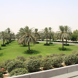 IMG_4584.JPG