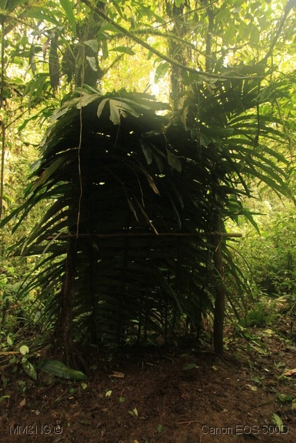 [IMG_2451%255B3%255D.jpg]