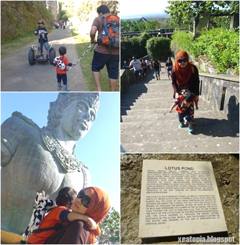bali5 bali5