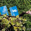Koolstofneutrale vakantie! Voor elke boeking planten we een boom en je krijgt een certificaat! Carbon-neutral holiday! For every booking we plant a tree and you get a certificate!
