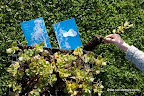 Carbon-neutral holiday! For every booking we plant a tree and you get a certificate!