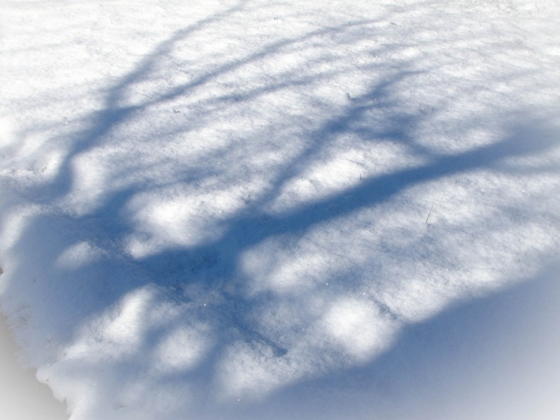 [Snow%2520012%255B5%255D.jpg]