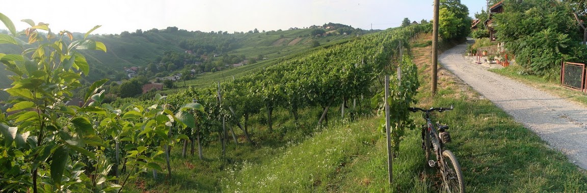 po goricah