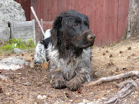 DSCN0110.JPG