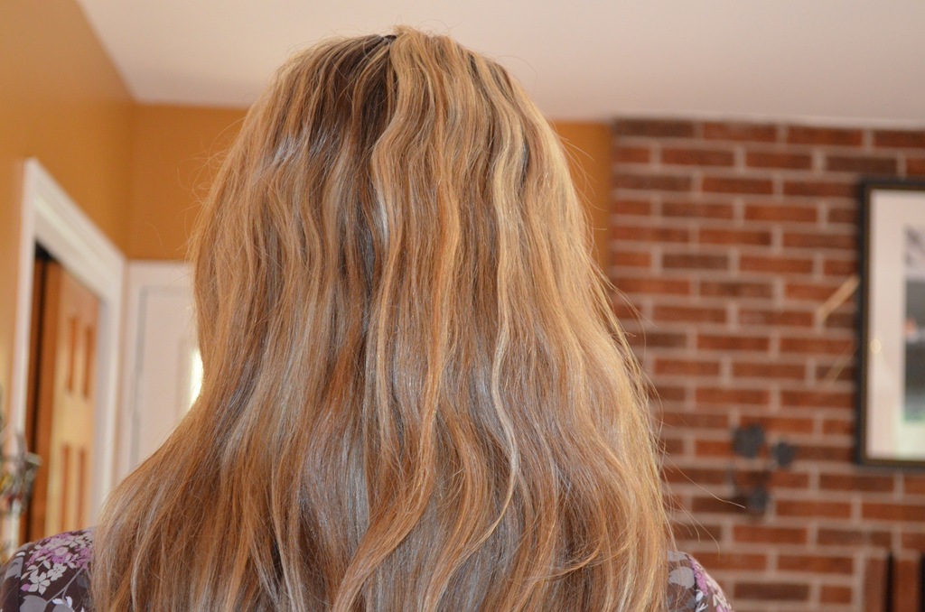 [DSC_2401%255B3%255D.jpg]