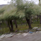 040620101351.jpg