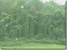 IMGA0265 IMGA0265