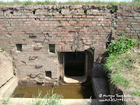 dsc06909.jpg