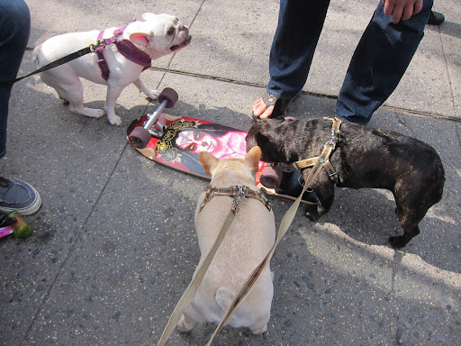 Hmmm, Sharkey, I don't know about this skateboard.  That picture is really scary!