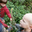 PA110022.JPG