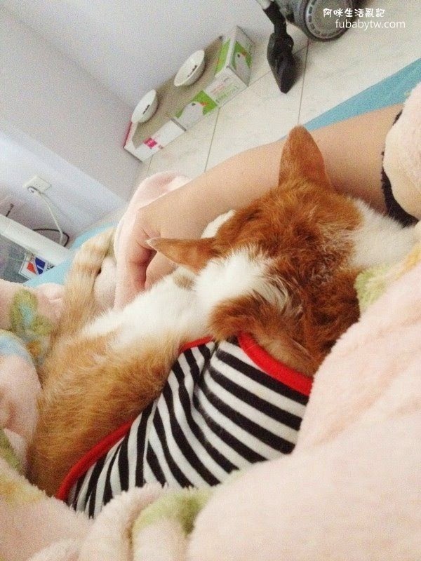 調整大小IMG_2361 調整大小IMG_2361