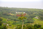 DSC_5943.JPG