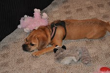 DSC_0387.JPG