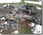 IMG_7934 IMG_7934