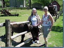 IMG_4445 IMG_4445