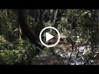 IMG_1568.mov Photo