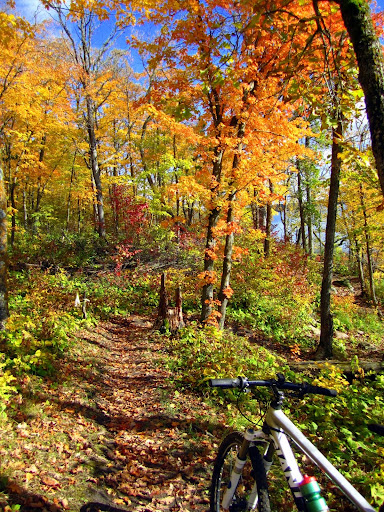 Lakeside singletrack