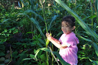pinoyecofarm december _0140.JPG
