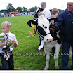 Cattle 019.jpg